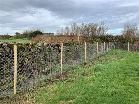 chicken wire screwfix